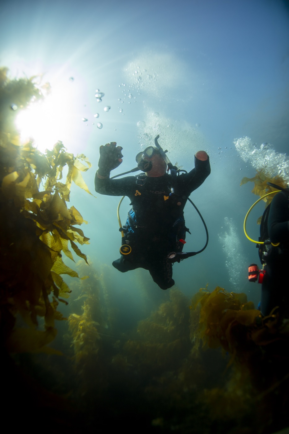 Adaptive diver