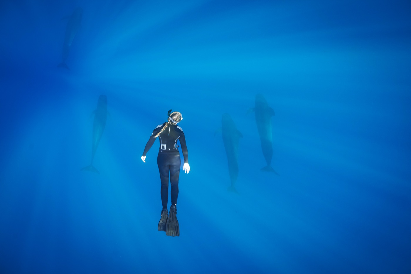Freediver in deep blue