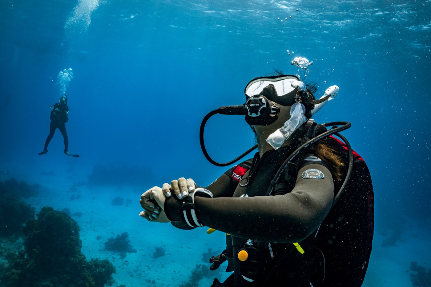 Diver