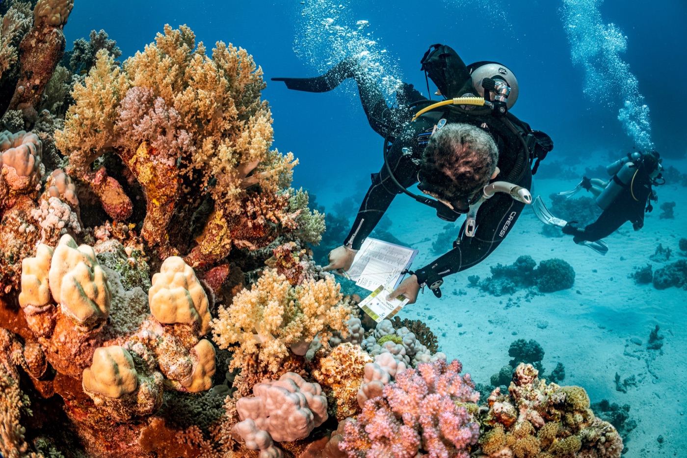 Diver over coral reef