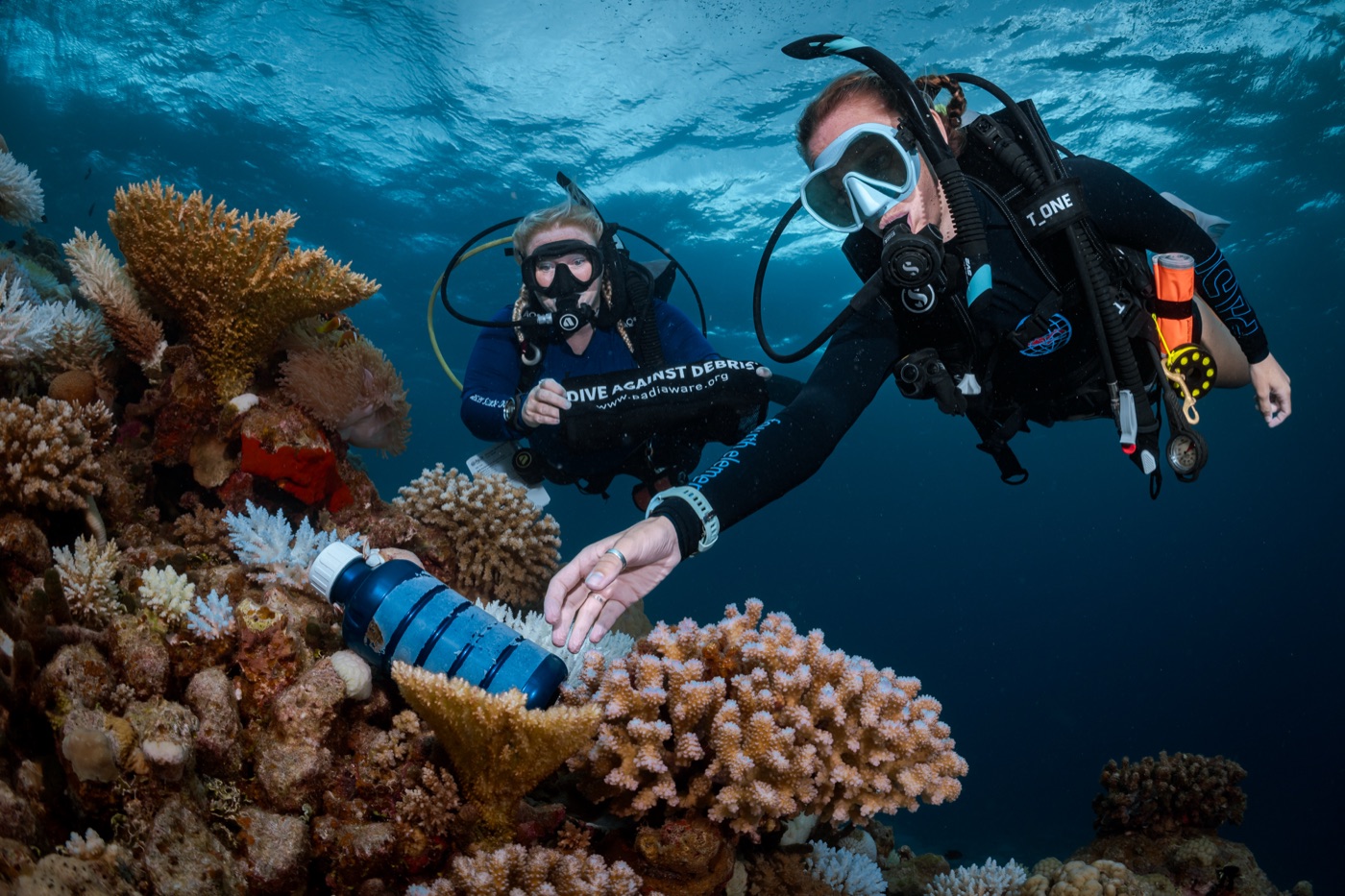 Conservation dive