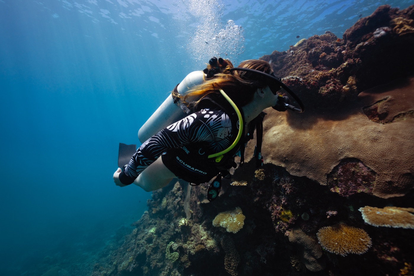 Diver over reef
